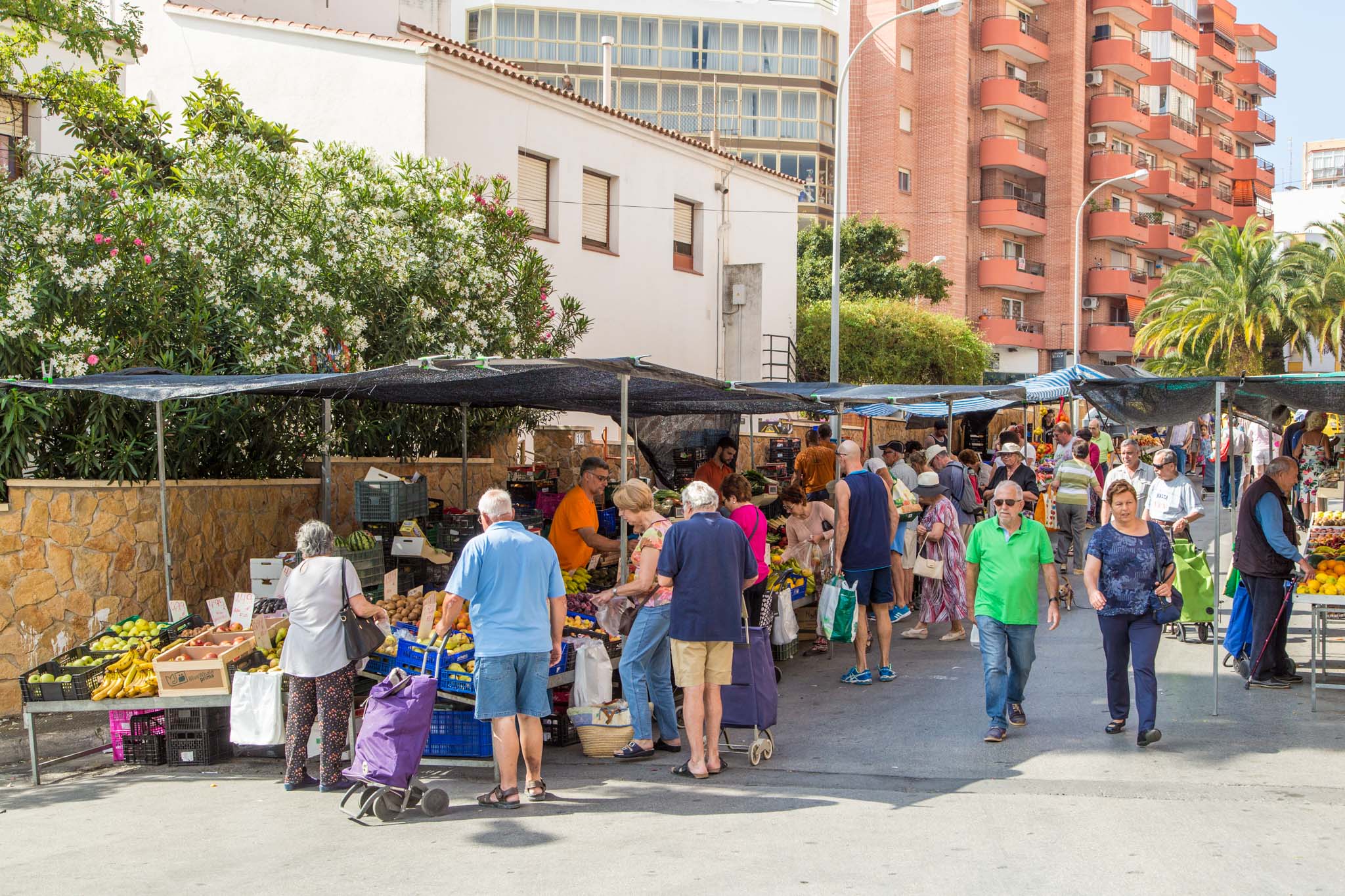 Calpe Market (Costa Blanca) Jet2holidays